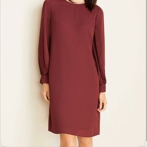 NWT lantern sleeve Ann Taylor dress in Size-6